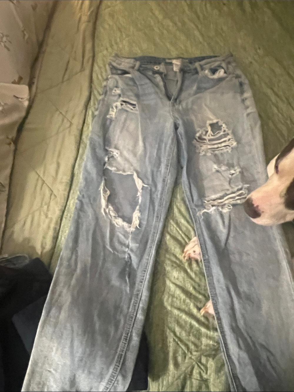 American Rag CIE Light Blue Distressed Straight Leg Jeans
